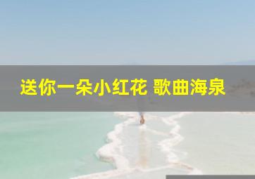 送你一朵小红花 歌曲海泉